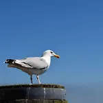 De Klever