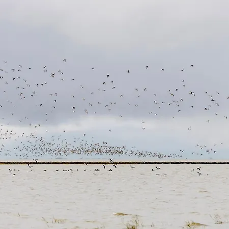 De Klever Apartament *