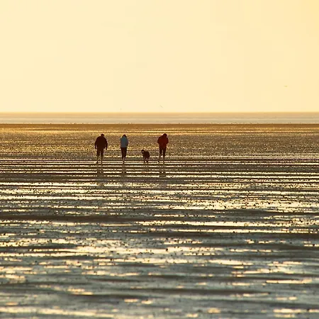 De Klever Dorumer Neufeld