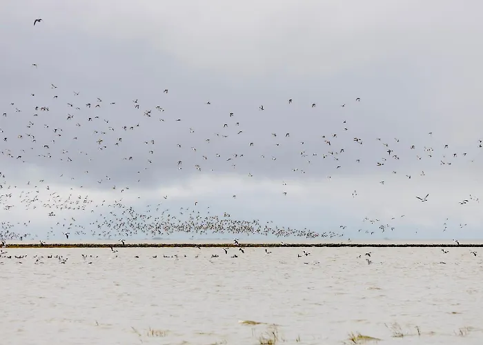 De Klever Апартаменты *