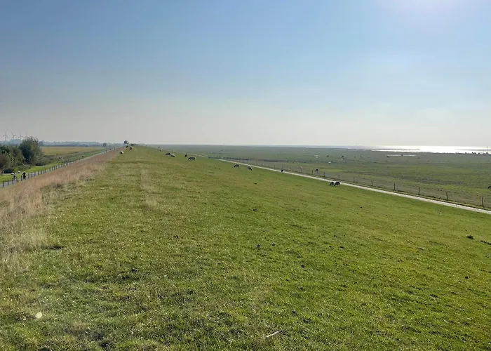 De Klever Апартаменты