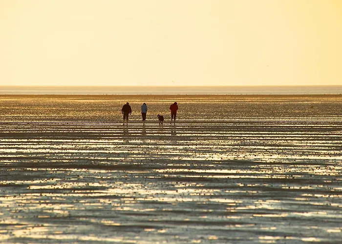 De Klever Дорум-Нойфельд