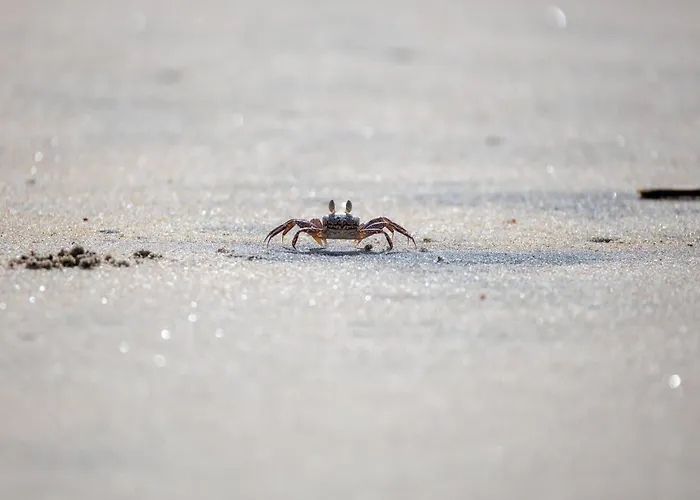 De Klever Апартаменты *